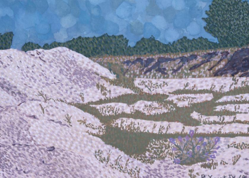 Landscape03